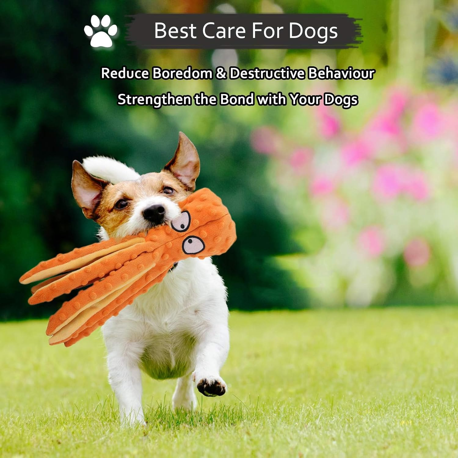 Dog Squeaky Toys，Octopus Interactive Play Toy，No Stuffing Plush Dog Chew Toy with Crinkle Paper for Medium and Large Dog Playing (Orange) - Blue image number 5