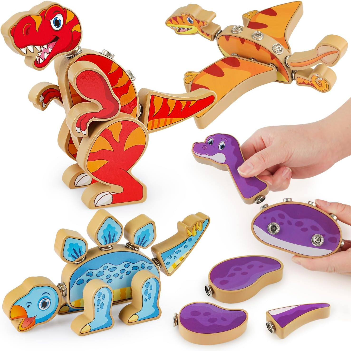 Coogam Dinosaur Building Block Set, Wooden Snap-Connection Dinosaur Builders, STEM Take Apart Dino Playset, Fine Motor Skill Educational Learning Toy Gift for 3 4 5 Years Old Kids image number 4