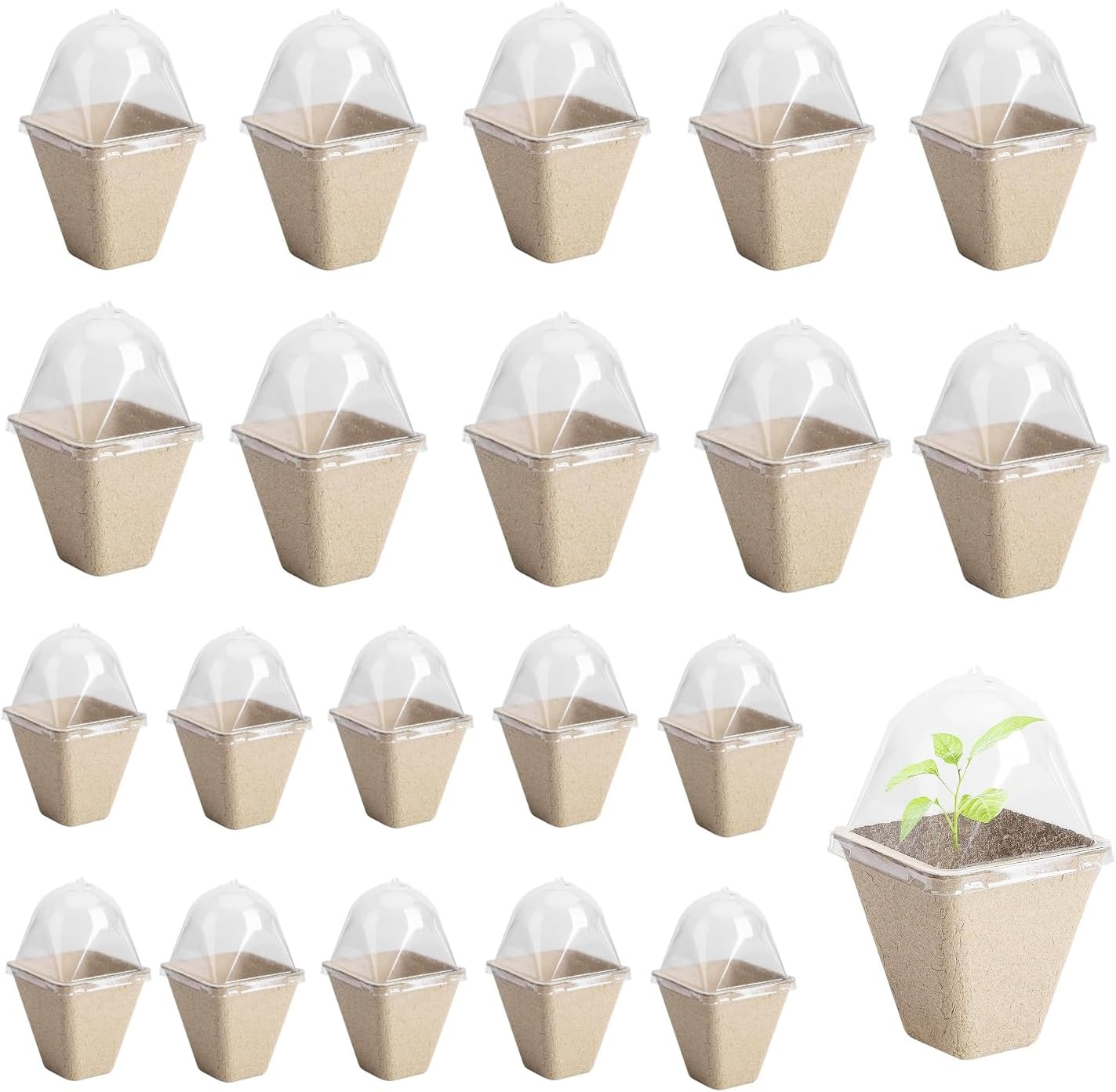 Xinghonyac 20 Pcs Seedlings Pots, Degradable Garden Germination Nursery Pot with Vent Humidity Lid, Eco-Friendly Peat Pots, Square Seed Starter Pots for Plants, Flowers, Vegetables (8Cm)