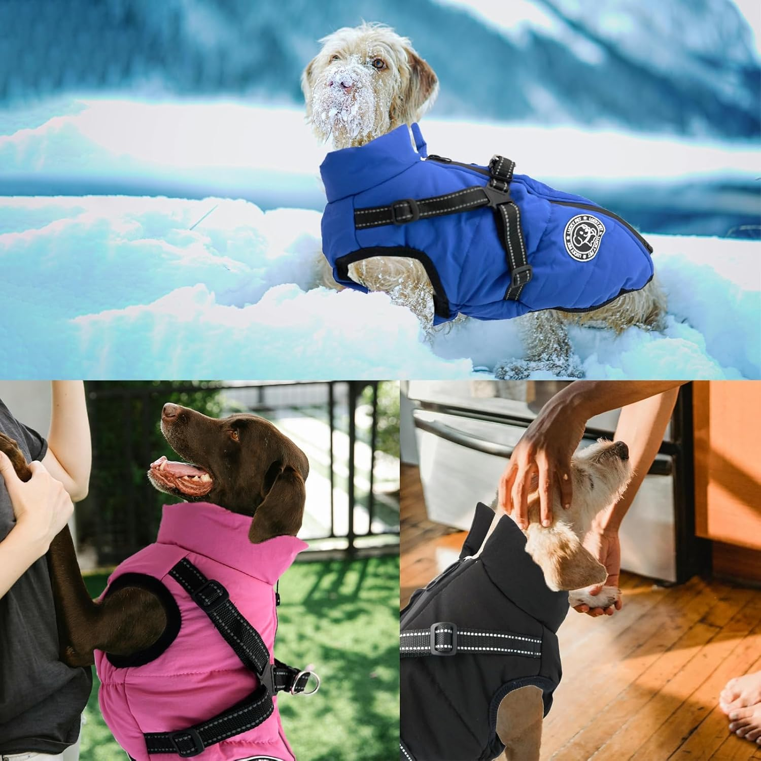 Dog Coat for Small Dogs, Waterproof, Dog Jacket, Winter Jackets and Winter Coats for Dogs, Dog Coat with Harness, Raincoat Dog Waterproof image number 3