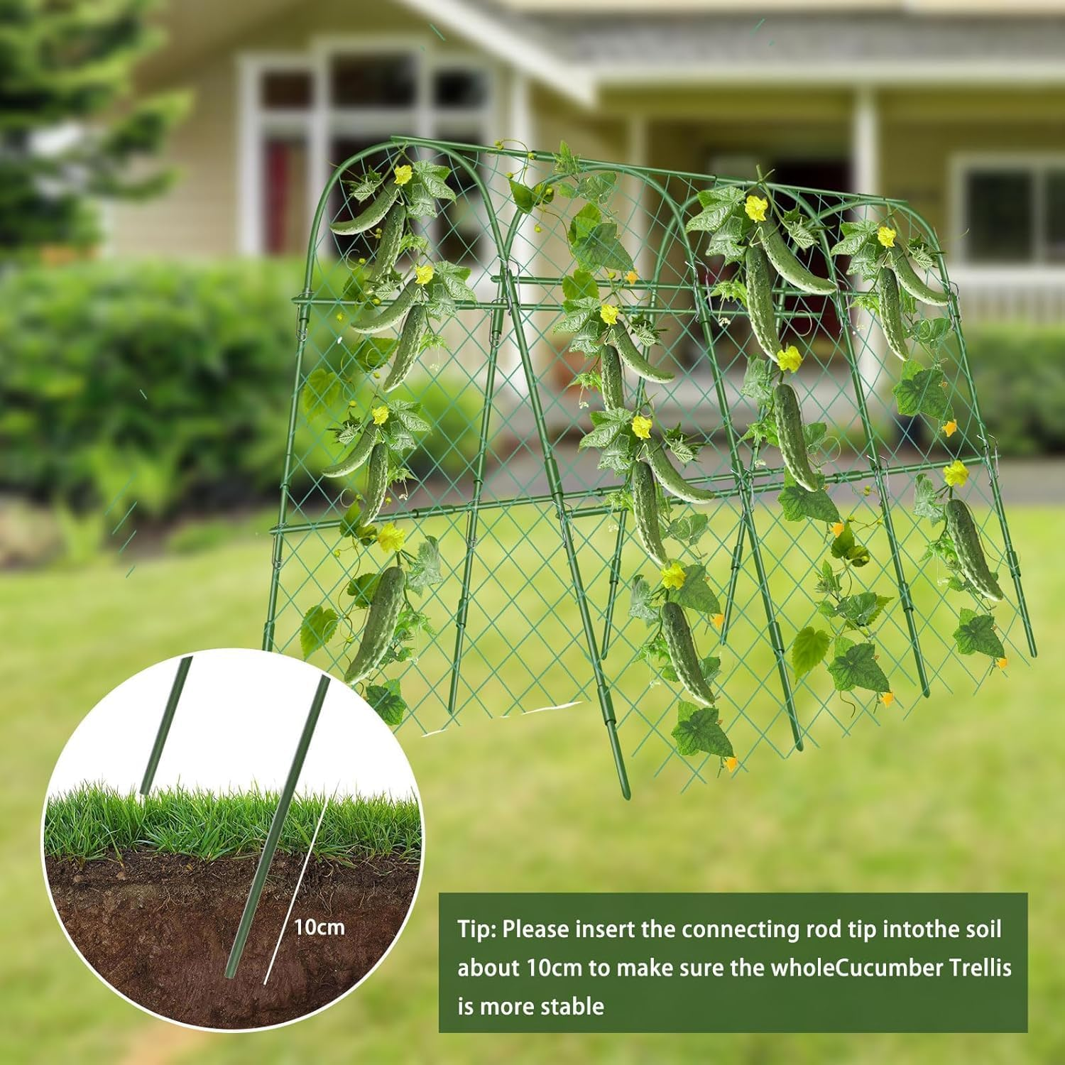 Cucumber Trellis for Garden, 63&Prime; X 45&Prime; U-Shaped Garden Trellis for Climbing Plants Outdoors with Climbing Net, Metal Detachable Arch Plant Support Vegetable Trellis