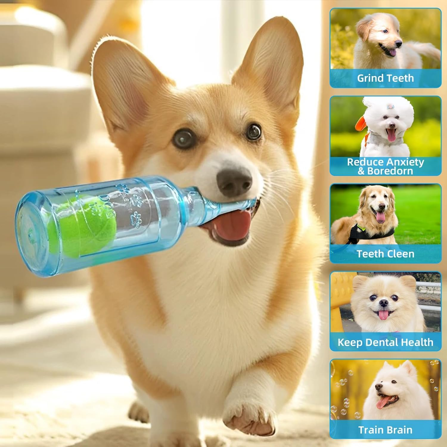 Cozioz Rubber Water Bottle Dog Toy Cruncher with Built-In Tennis Ball and Treat Dispensing Feature, Squeaky Interactive Dog Chew Toy for Aggressive Chewers - Ideal for Large and Small Dogs (Blue) image number 1