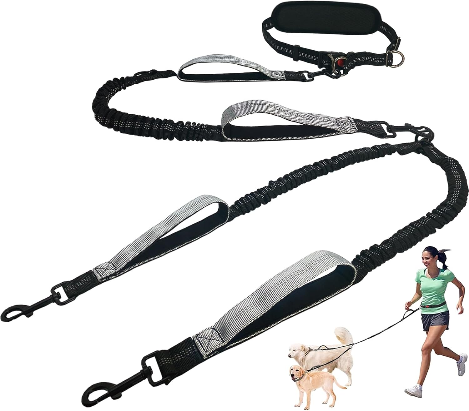 Hands Free Dog Leash for 2 Dogs- 360&deg;Swivel No Tangle Dual Dog Leash, Waist Leash for Dog Walking with Anti-Pull for Shock Absorption, Reflective Strips & Padded Handles,For Jogging, Running image number 4