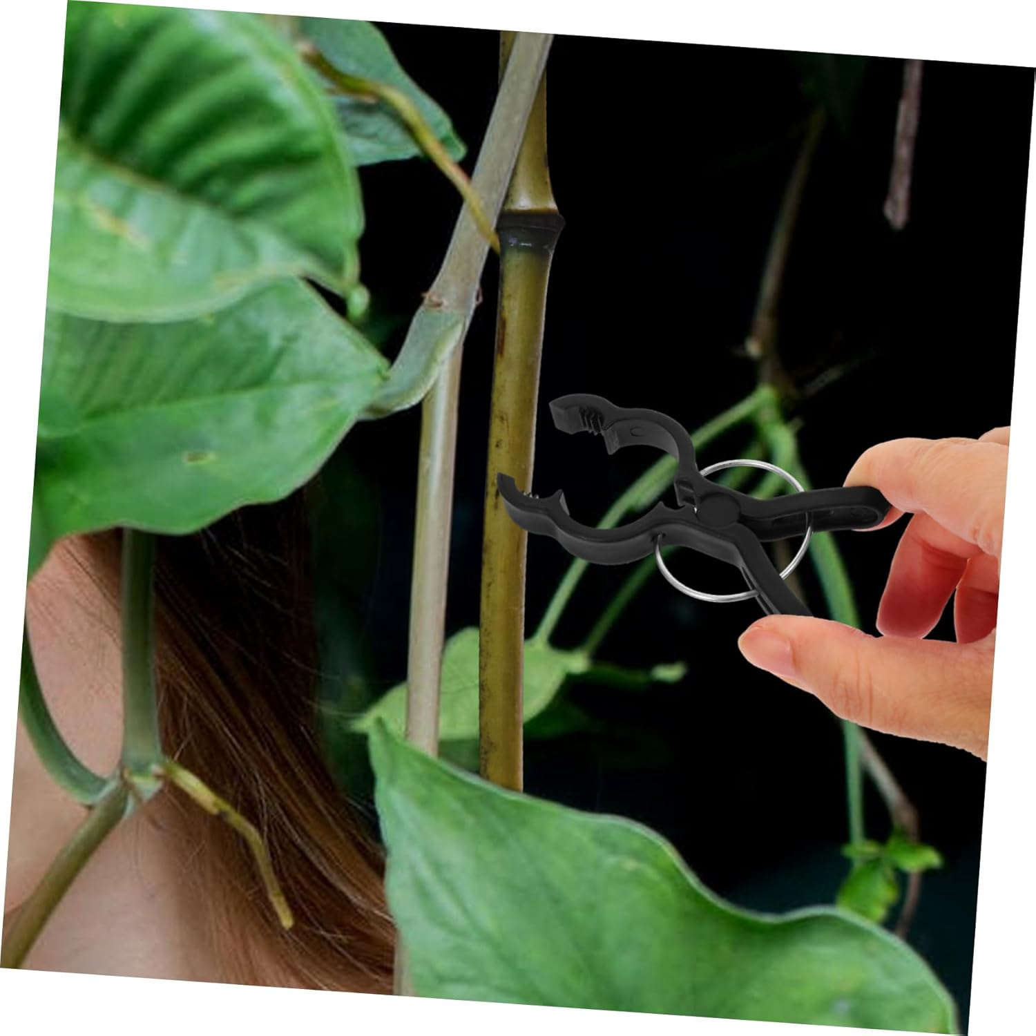 GAROZATION 20Pcs Plant Support Clips and Tomato Vine Clamps for Climbing Plants Black Garden Grafting Clips for Tomato Stakes and Flower Vines Supplies for Outdoor Gardening And image number 1