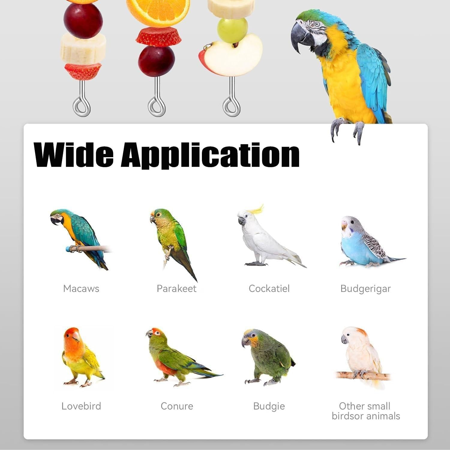 2 Pcs Bird Food Holder, Stainless Steel Bird Food Holder, Bird Cage Food Holder Parrot Fruit Vegetable Skewer Bird Cage Feeder Foraging Toy for Budgie Parakeet Macaw (Large)