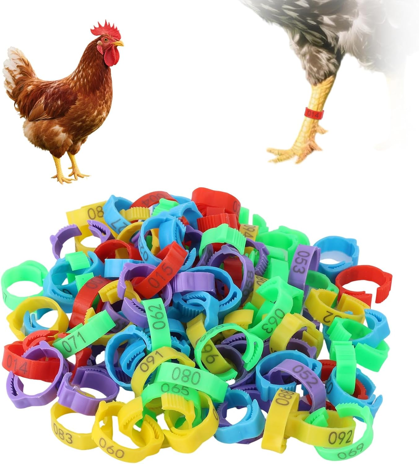 100Pcs Chicken Leg Bands, 5 Color Adjustable Poultry Leg Rings with Numbers 1-100 Chicken Identification Tag for Ducks Turkey Goose image number 4