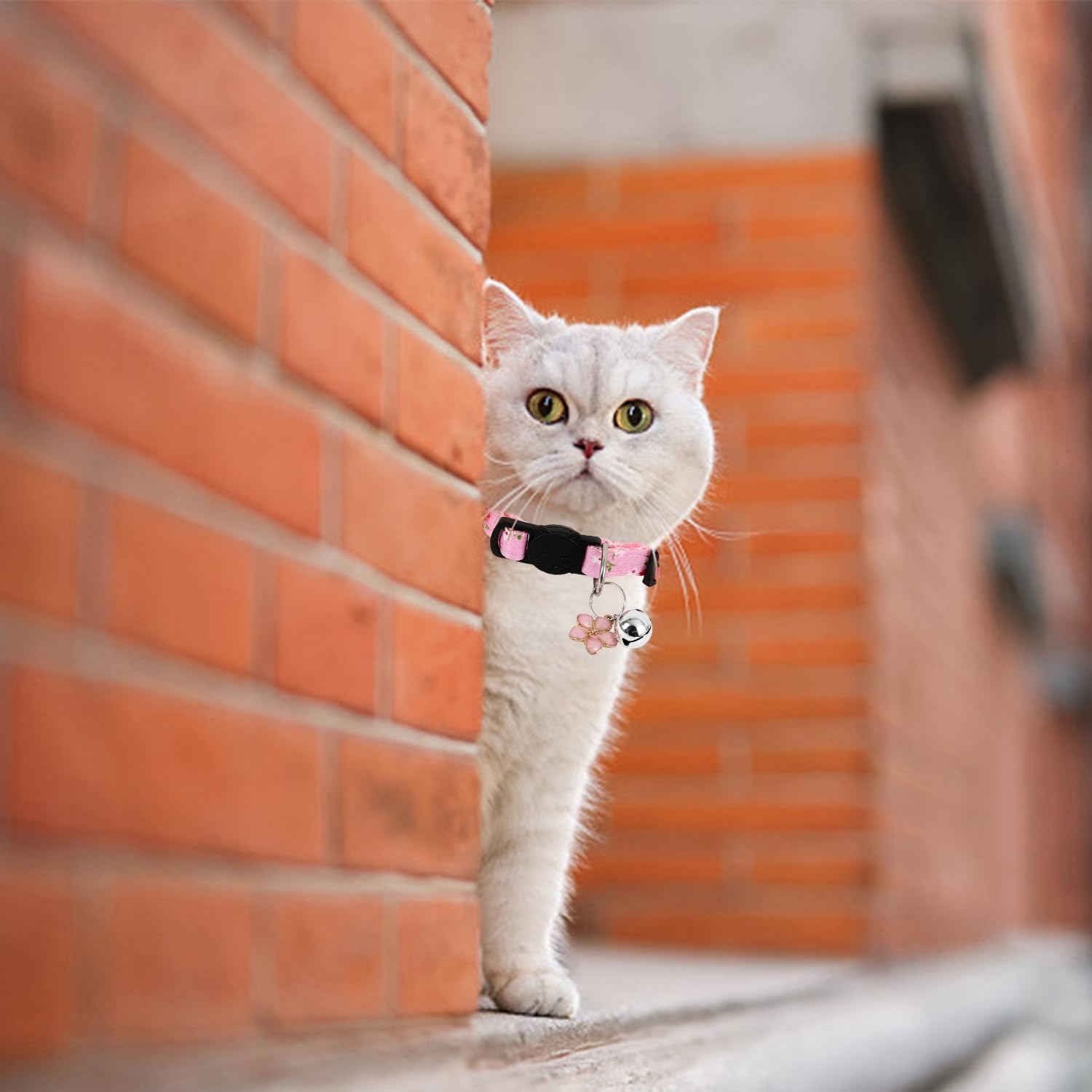 DUINIU 2 Pink Cat Collars, Safety Adjustable Collars, Pet Decoration Accessories, Kitten Wear Collars image number 3