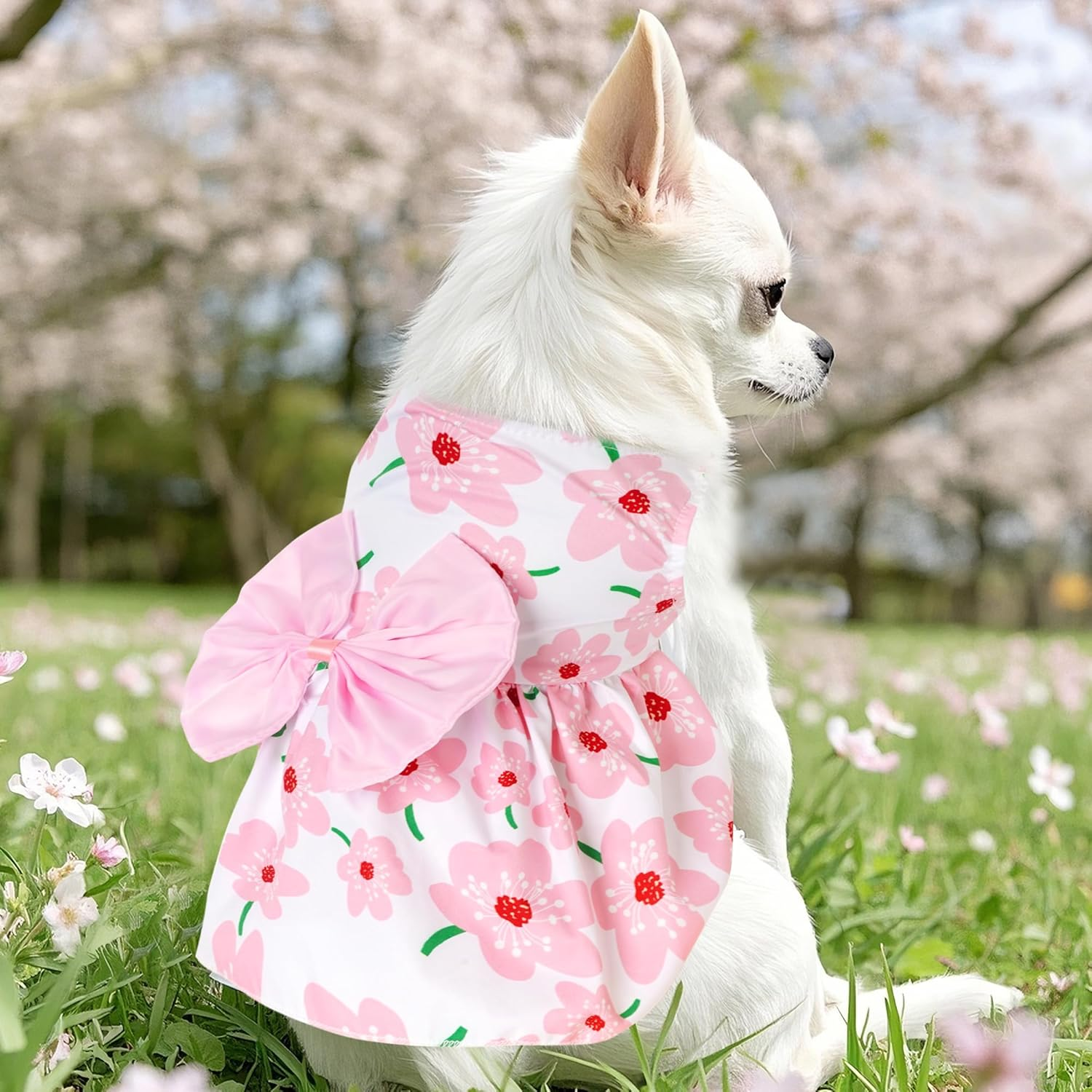 Choyaxo Floral Dog Dress Cute Dog Skirt Pet Dress Summer Pet Clothes for Puppy Small Cats image number 4