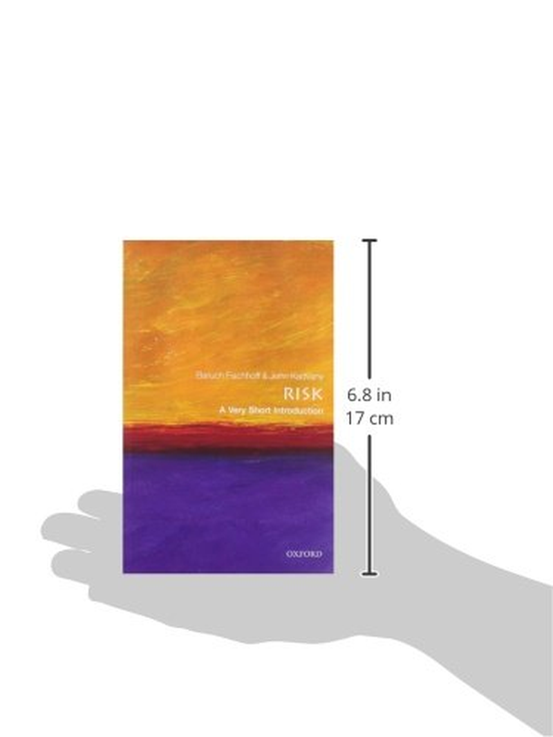 Risk: a Very Short Introduction image number 1