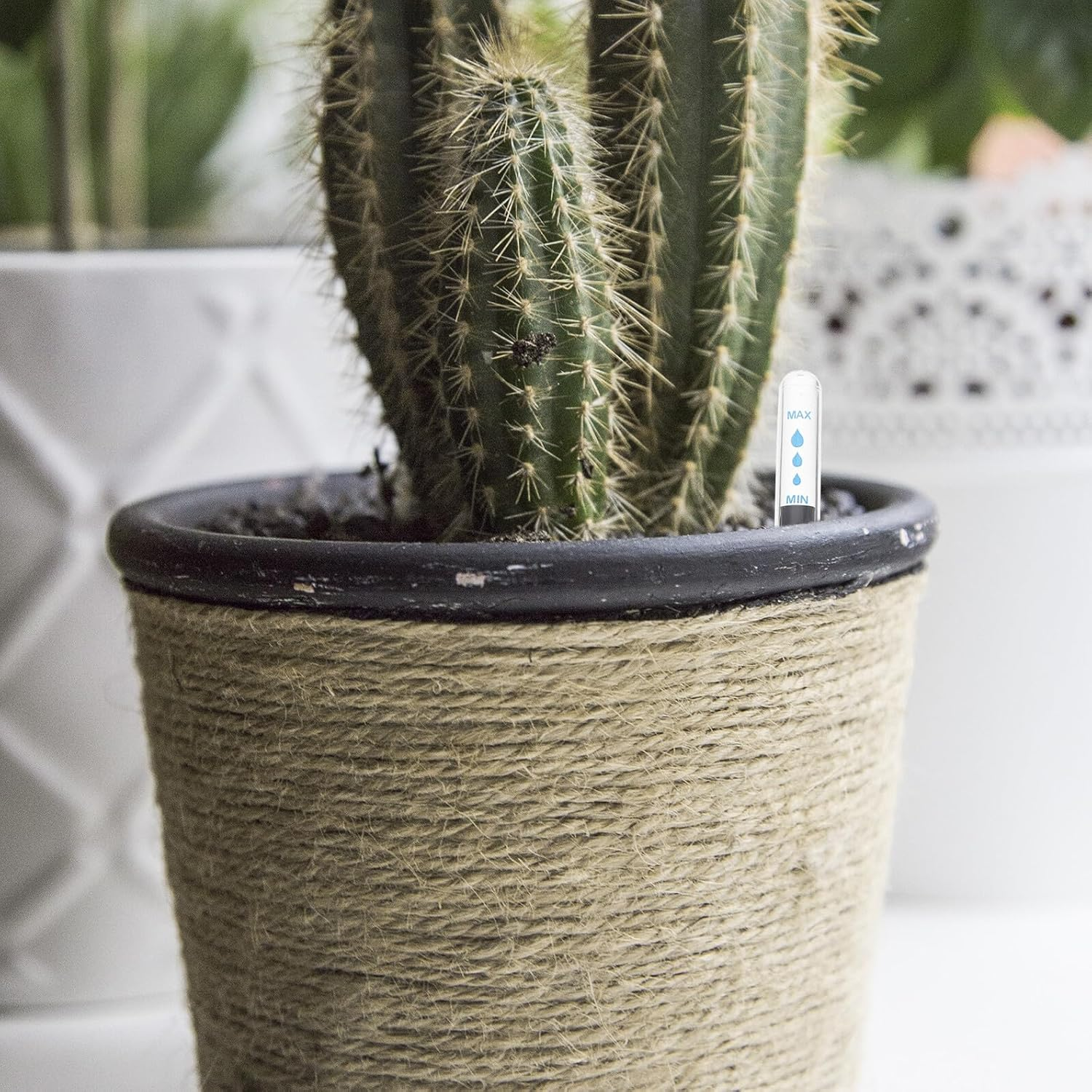 Bestonzon 4Pcs Flowerpot Water Level Indicators Floating Gauge with Clear Scale for Plant Moisture Monitoring and Water Shortage Reminder Easy Assembly for Potted Plants