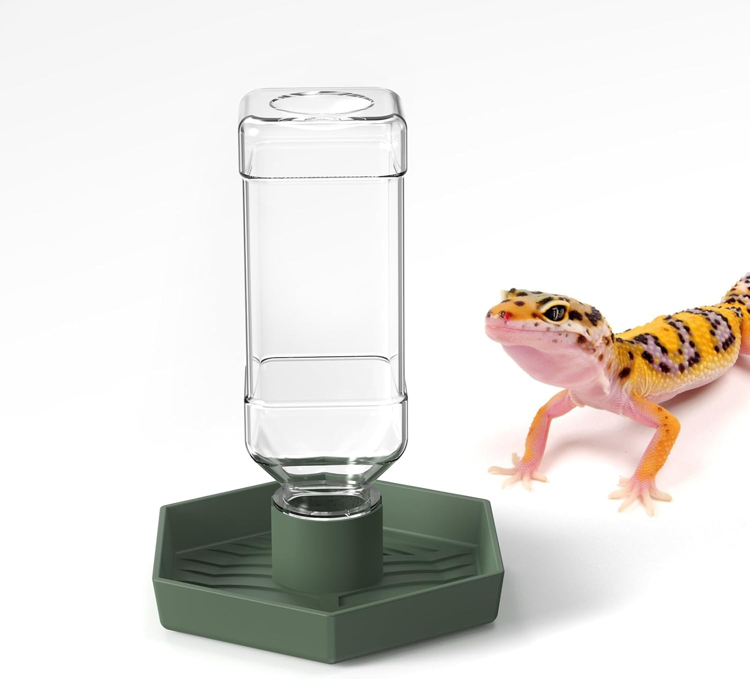 Reptile Water Dispenser-7.5 Oz(250Ml) Bearded Dragon Water Bowl - Small Water Dish for Tortoise - Bowls for Reptiles & Amphibians (L) image number 1