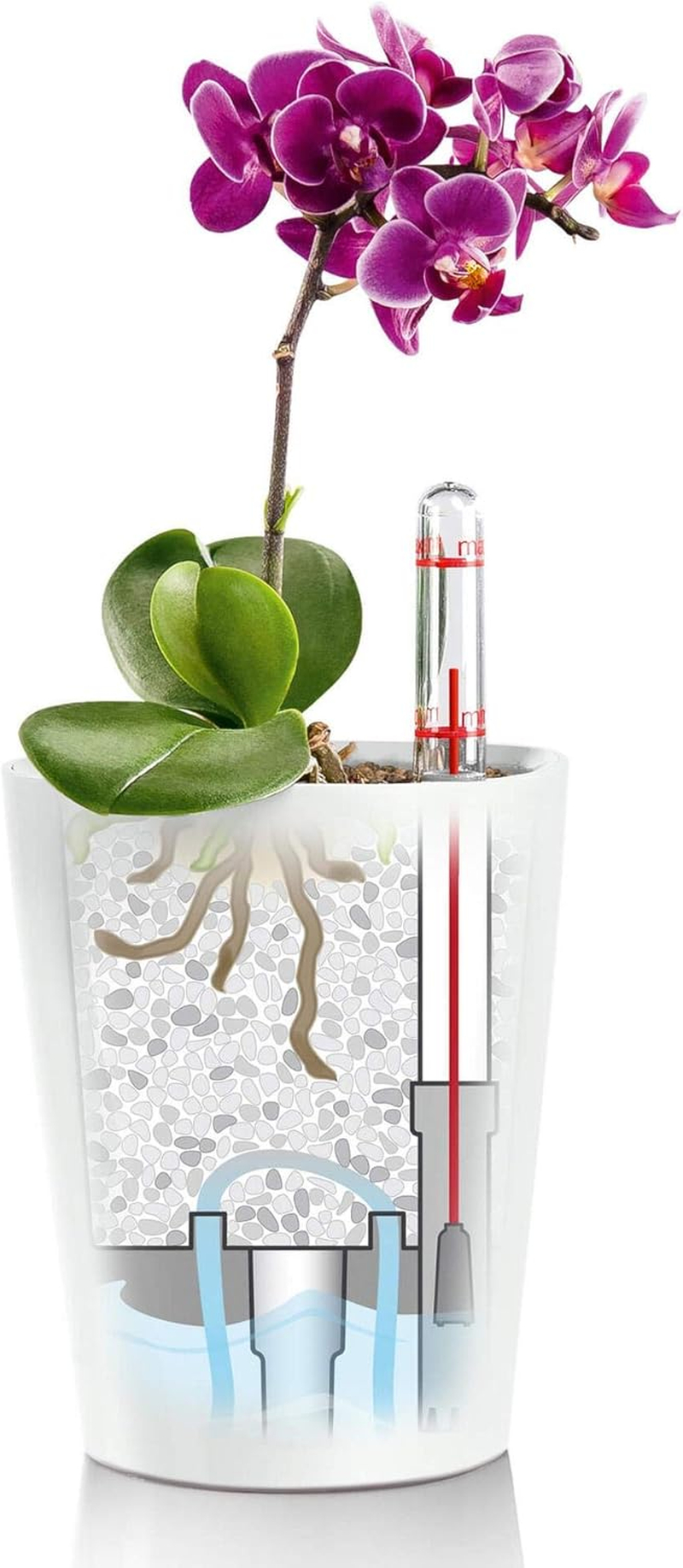 Lechuza Deltini Self-Watering Planter with Removable Planter Liner, High Gloss Scarlet Red image number 5