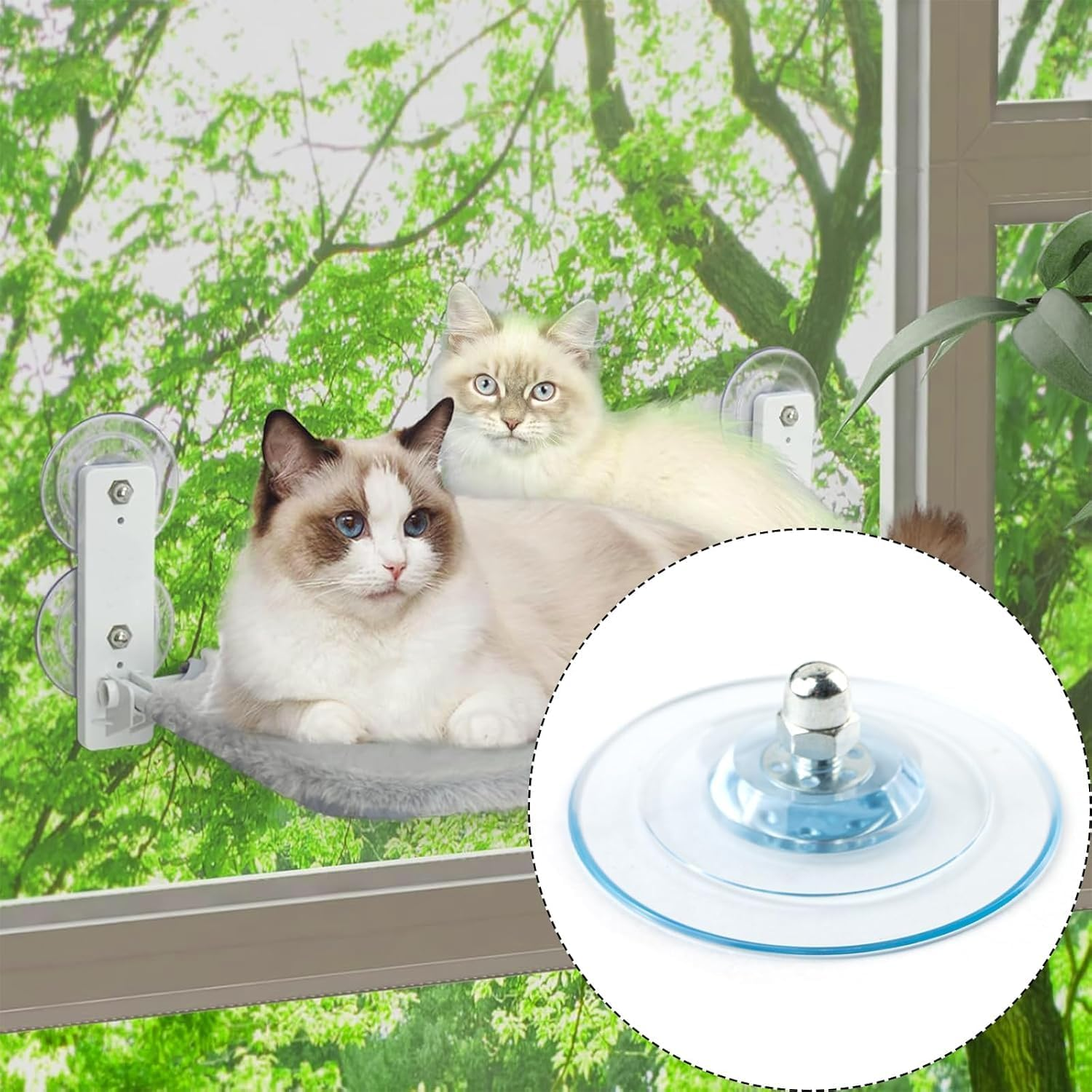 Fokmuaex Cat Window Perch Suction Cups (4PCS) - Heavy Duty Replacement Suction Cups with Screws for Foldable & Cordless Cat Window Hammock, Supports 20Kg, Strong Adhesive for Glass/Tile image number 6
