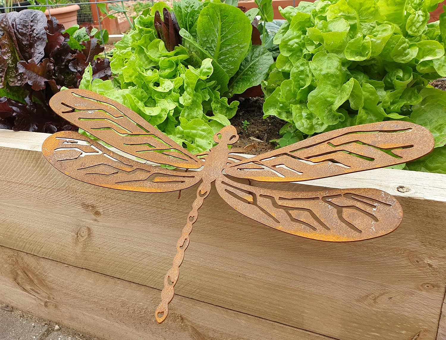 Dragonfly - Australian Made Rusted Metal Garden Art image number 6