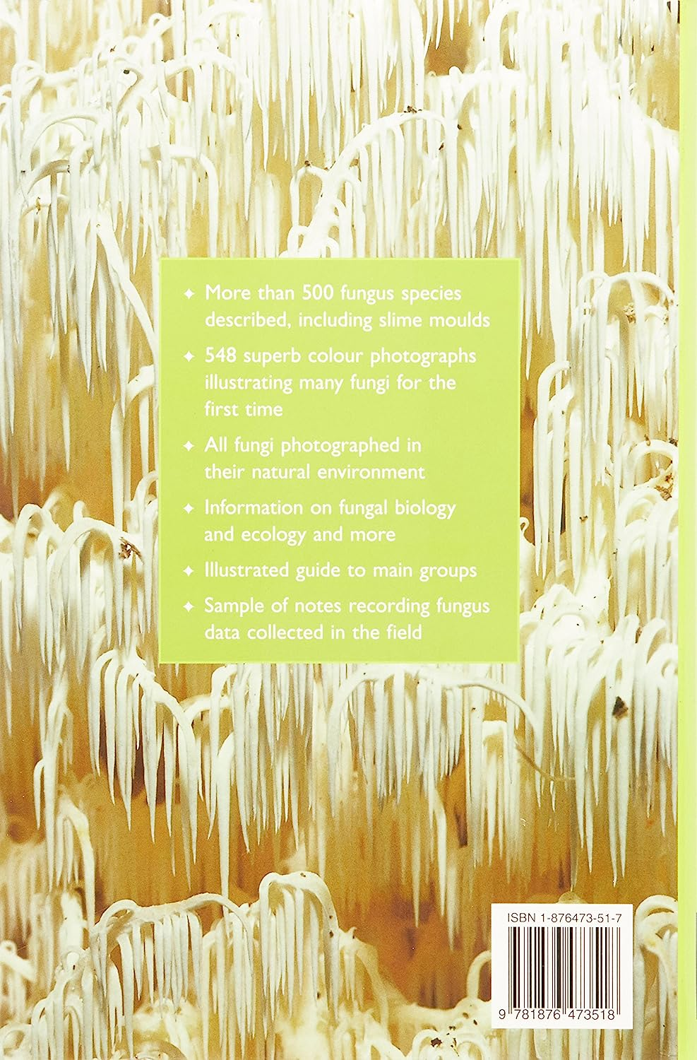 Field Guide to Australian Fungi image number 1