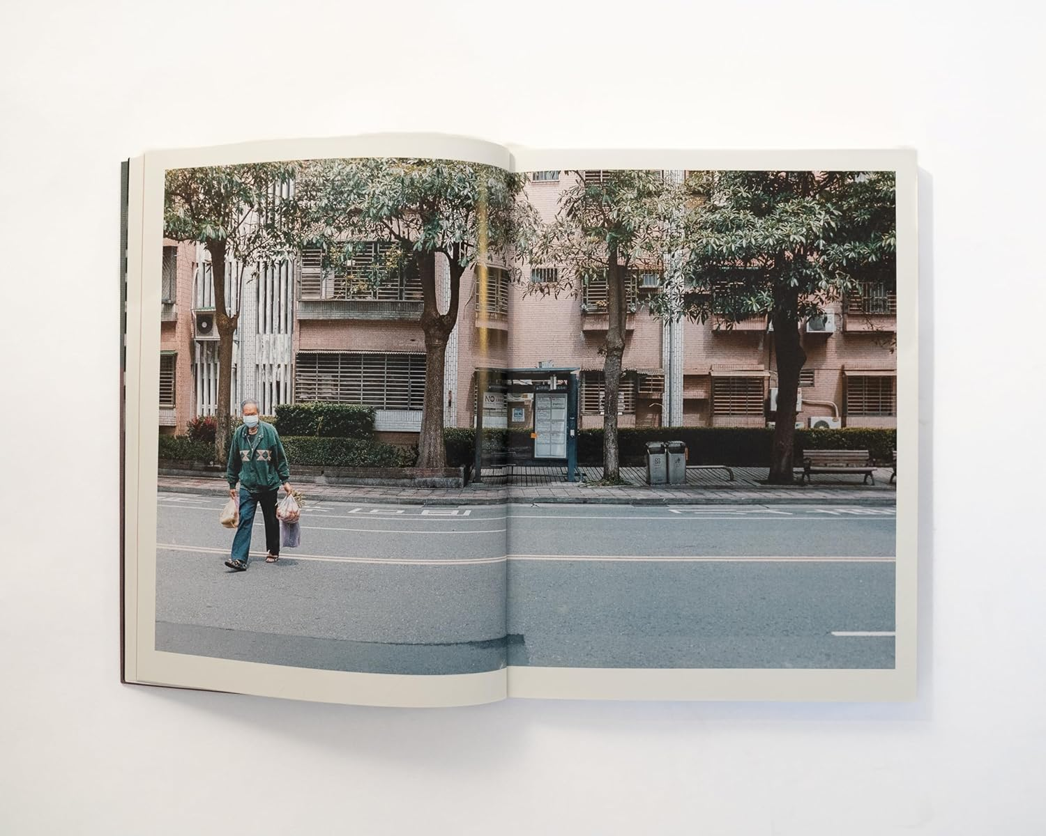 A-Gong'S Table: Vegan Recipes from a Taiwanese Home (A Chez Jorge Cookbook) image number 2