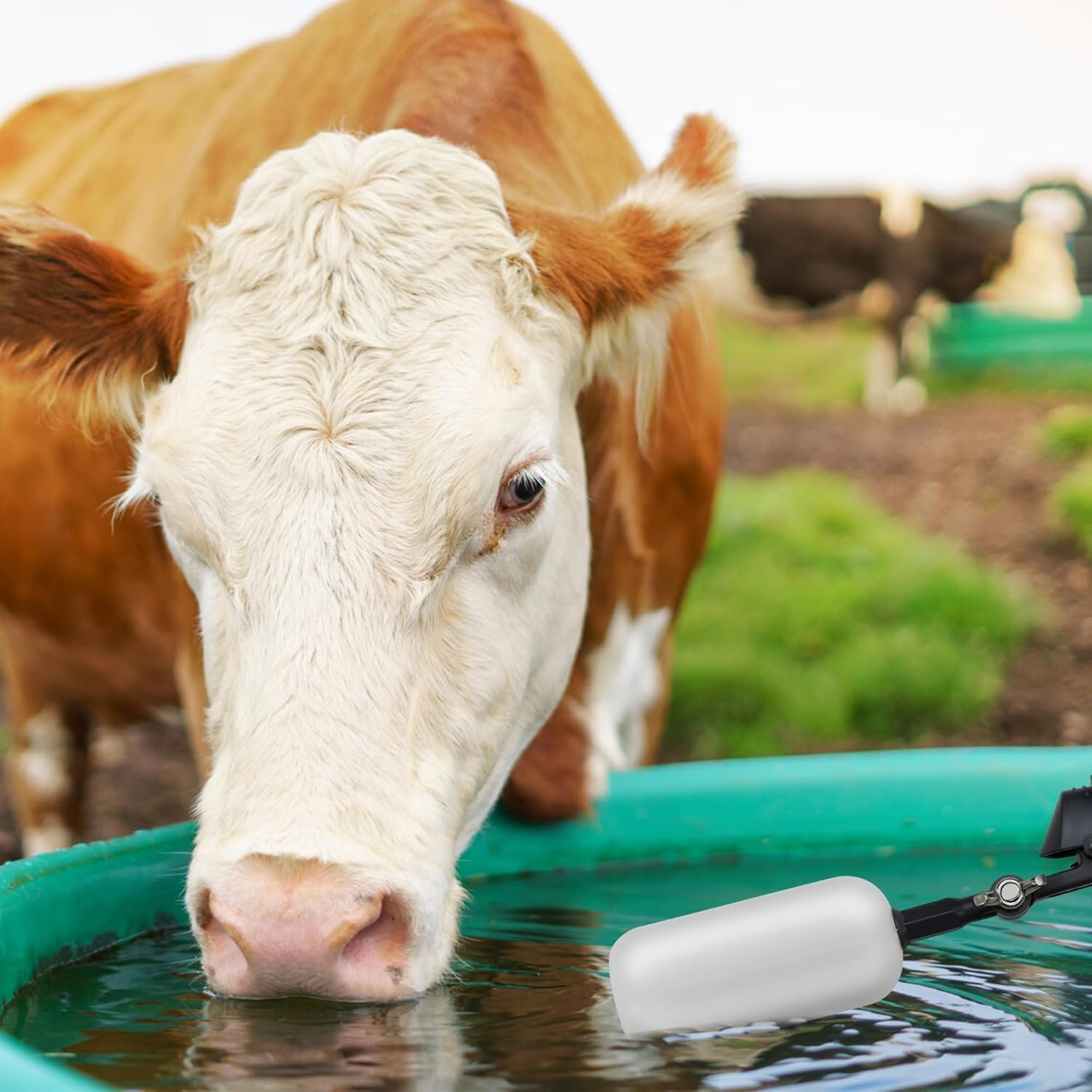 1/2 Inch Float Ball Valve, Adjustable Arm for Livestock Water Trough, Aquariums, Hydroponics - Automatic Fill and Control Water Level 3 Pack