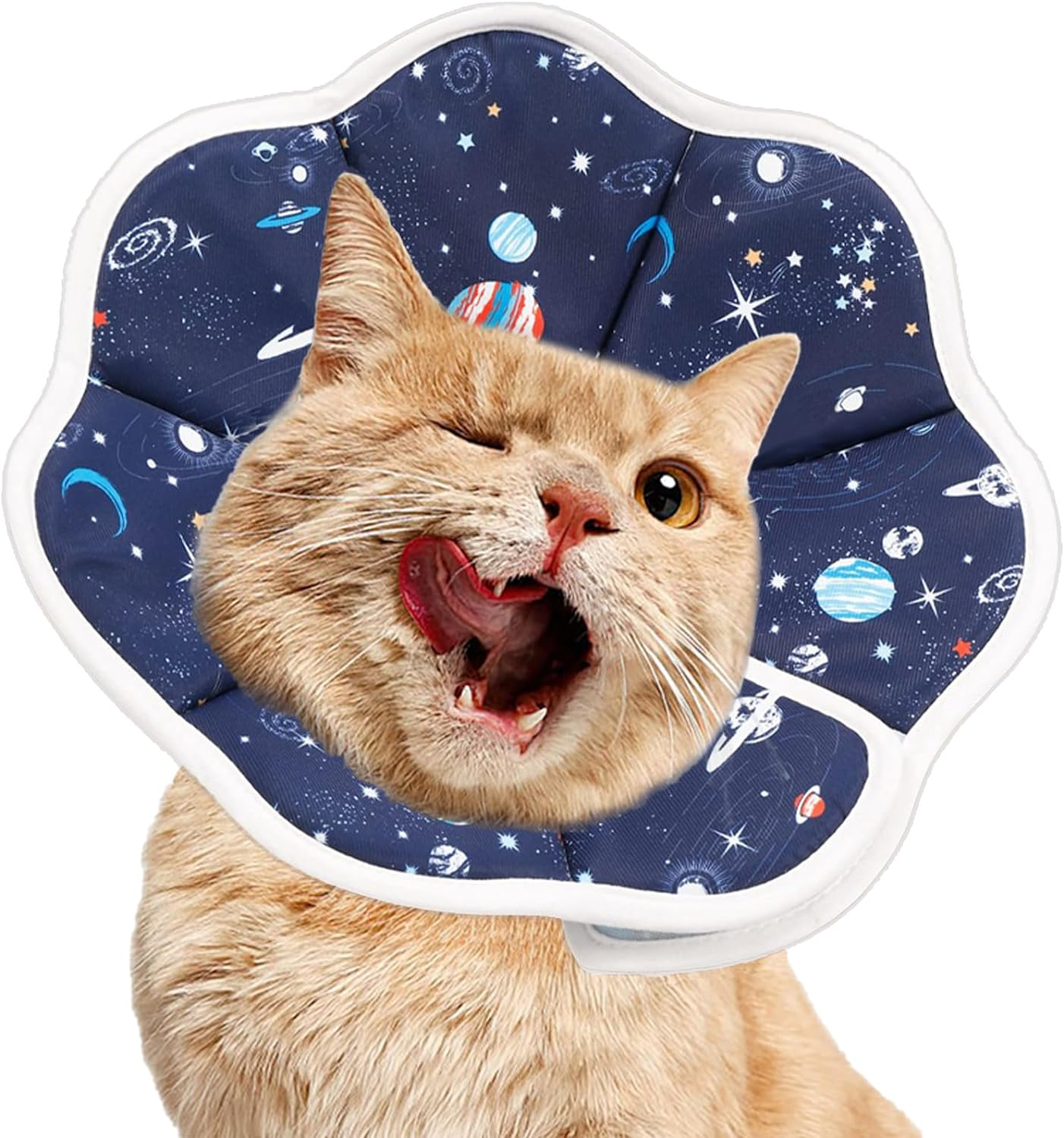Cat Recovery Collar Protective Pet Cone Collar for after Surgery, Adjustable Elizabethan Collar Soft Comfortable Lightweight for Cat Kitten Prevent from Licking Wounds Scratching, Not Block Vision (M) image number 5