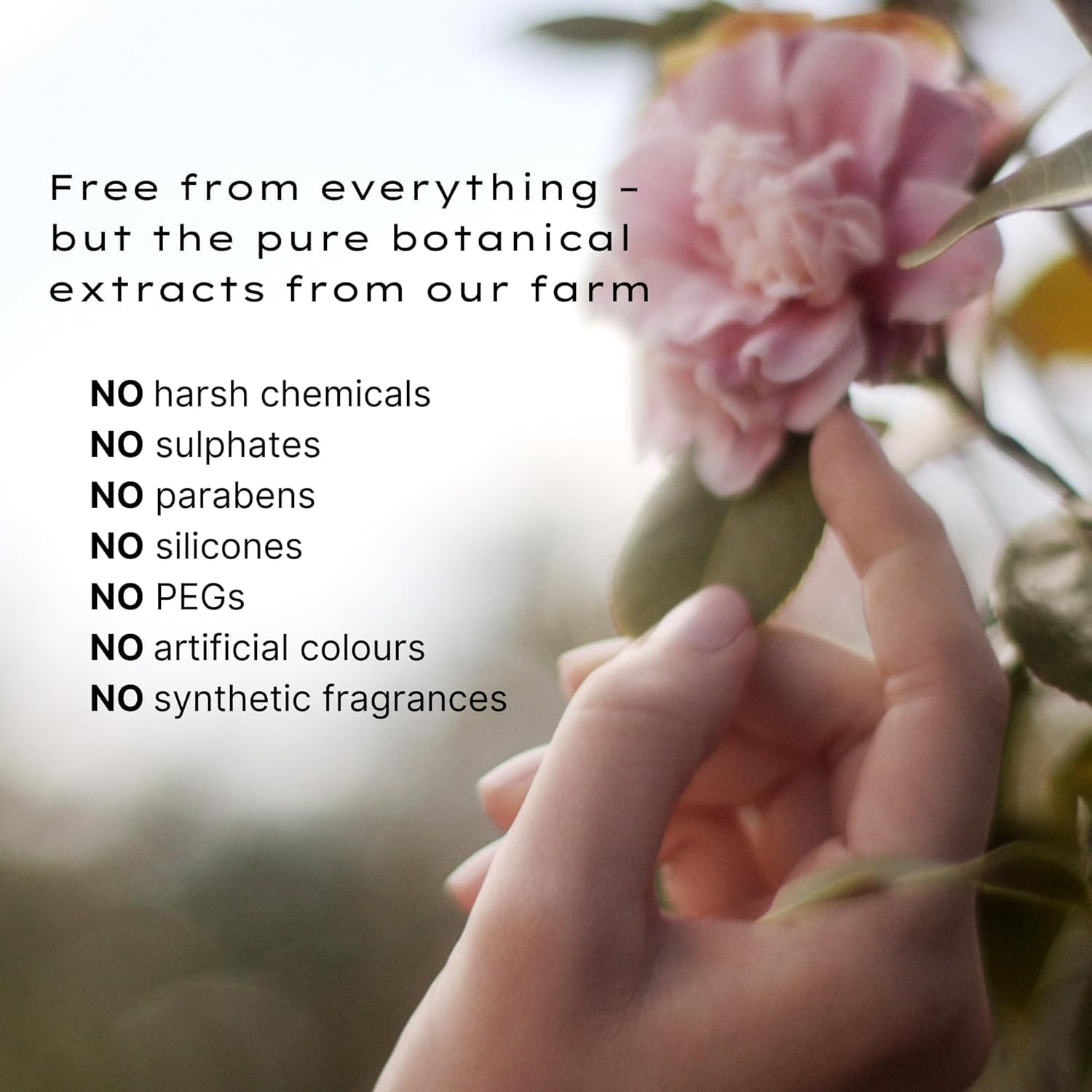 Rose Hand Wash image number 3