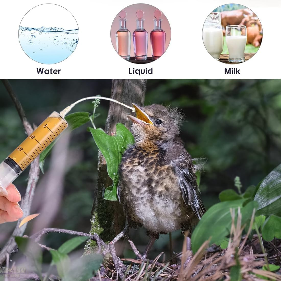 SIRLOMU Pack of 10 Young Birds Feeding Syringe Baby Bird Parrot Hand Feeder Pet Milk Water Feeding Medicine for Baby Birds and Parrots, Milk, Water, Medicine, Easy to Clean image number 2