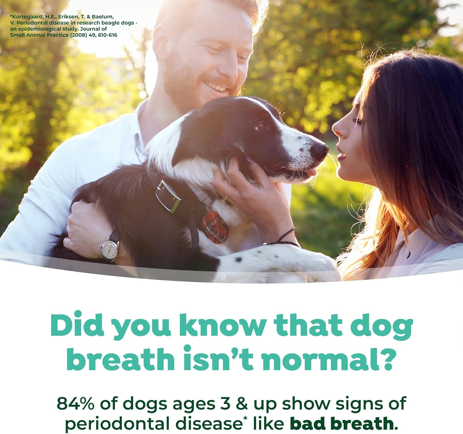 Tropiclean Fresh Breath No Brushing Oral Care Mint Foam 133Ml image number 4