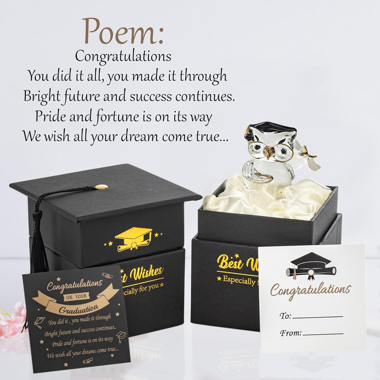 Suprano Graduation Gift Crystal Glass Owl Present Graduation Gifts for Her/Him, Keepsake Ornament in Massage Box image number 3