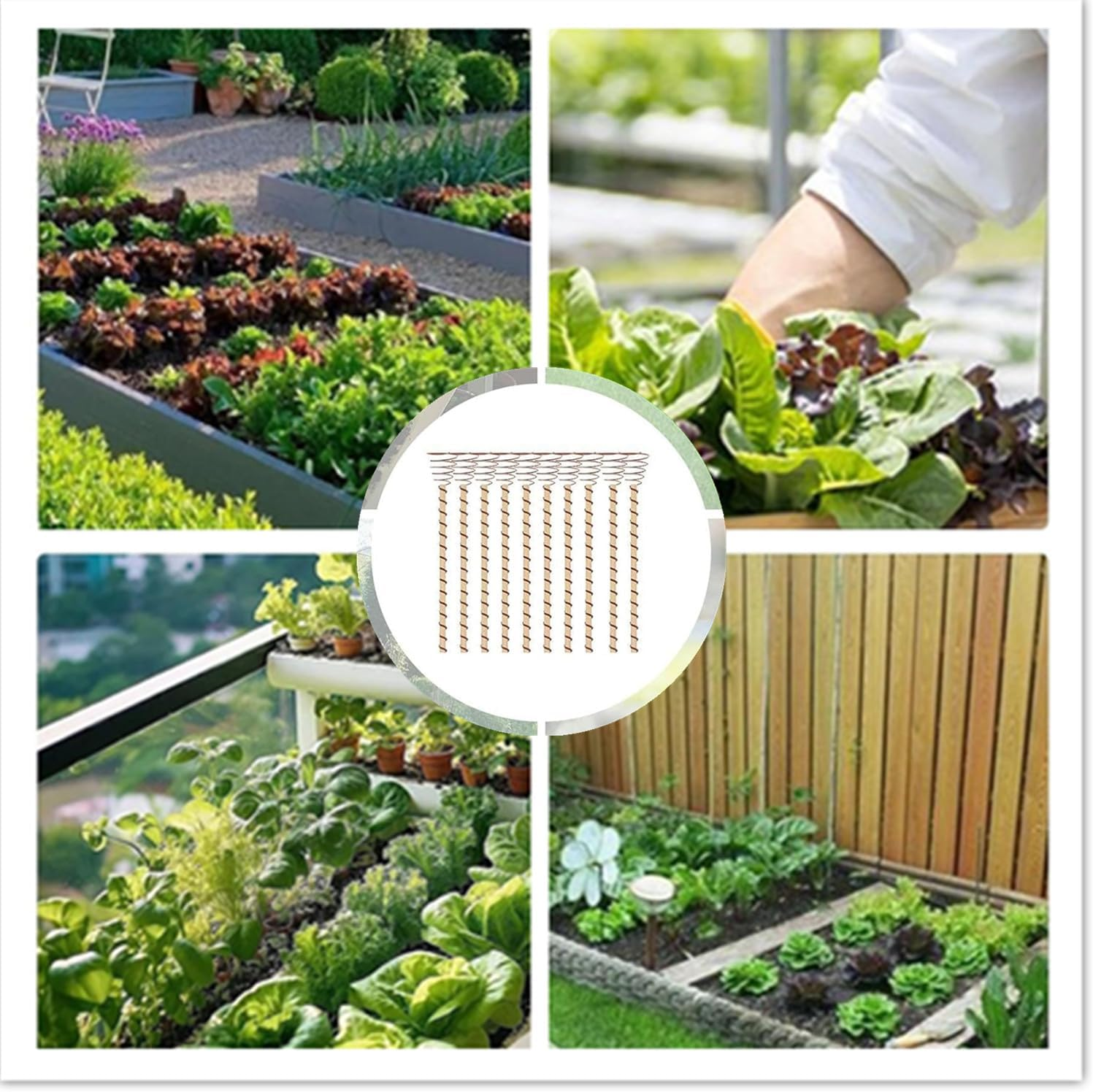 MEZOKUCEL Electroculture Plant Stakes - 12-Inch Copper Stakes Probes 10Pcs Long Copper Wire Garden Tools, Garden Copper Stakes for Plants Vegetables Fruits (10Pcs) image number 4