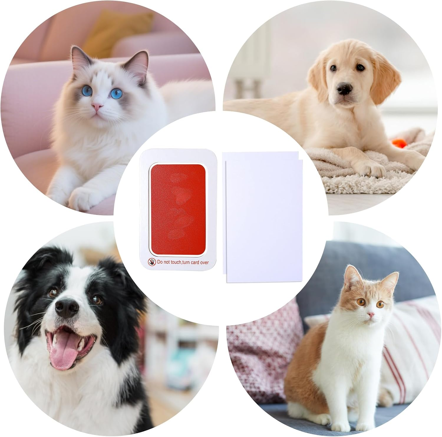 Pet Ink Paw Print Kit,Inkless Baby Hand and Footprint Kit - Non Irritating Safe Tool Handprints Crafts Keepsakes for Family Mom Fathers Babies Pets Puppy Cat Boy image number 3