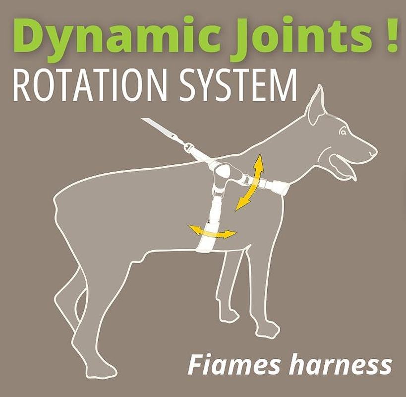 Coralpina - Fiames Adjustable Neck and Chest Harness for Medium to Large Dogs, Soft and Durable, Does Not Harm Hair or Hinder Movement, Wine Red image number 2