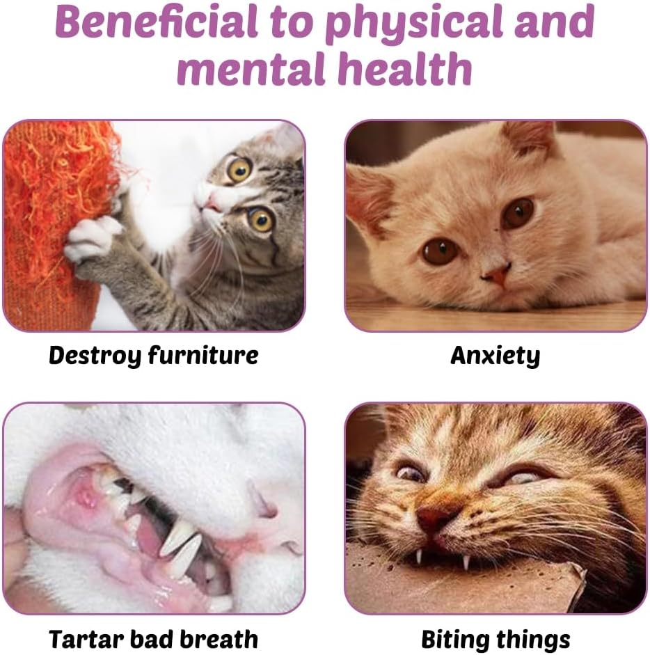 Mioyoow 3PCS Octopus Cat Toys, Interactive Cat Enrichment Toys Accessories, Cartoon Plush Pet Playing Toys with a Little Catnip for Cat Kitten