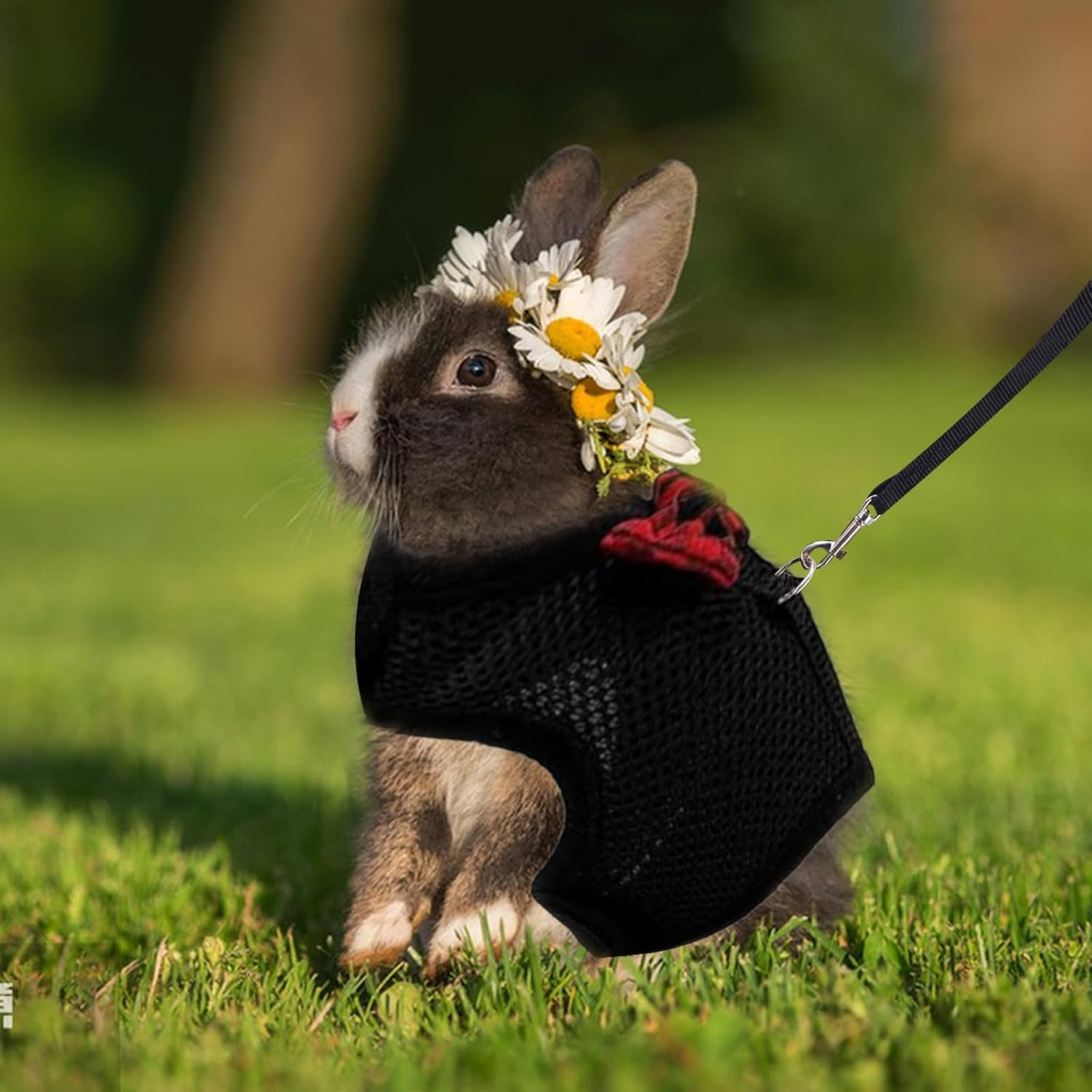 ASOCEA Adjustable Bunny Soft Harness and Leash Pet Harness Vest Cloth Lead for Rabbits Ferret Kitten Black