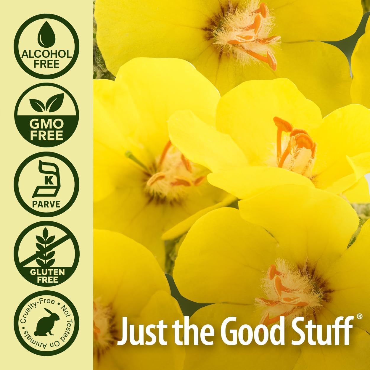 Nature'S Answer Natures' Answer Alcohol-Free Mullein Leaf, 1-Fluid Ounce image number 1