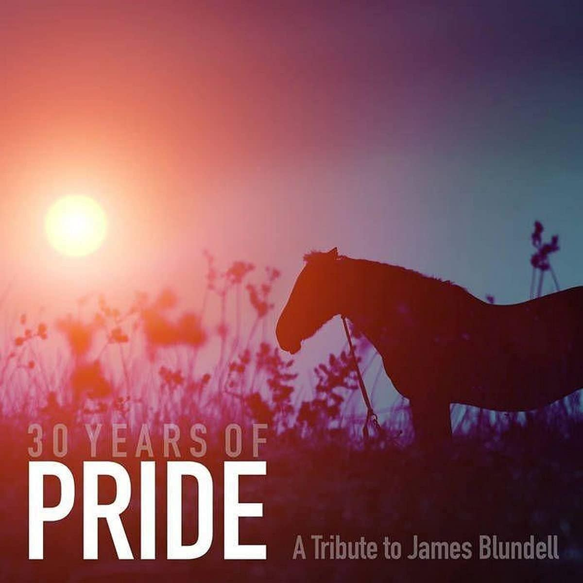 30 Years of Pride: Tribute to James Blundell / Various