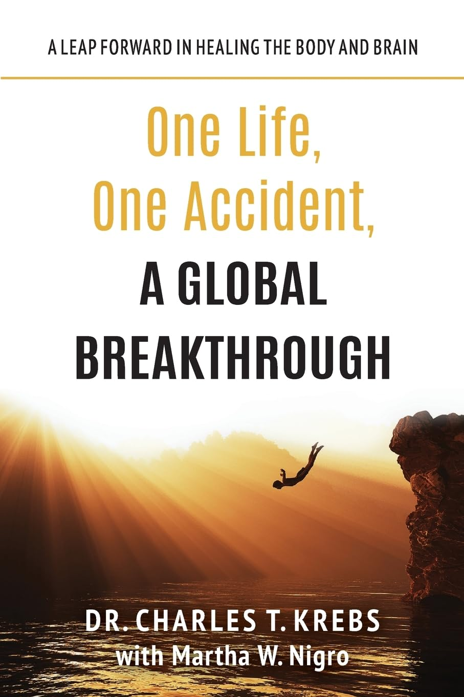 One Life, One Accident, a Global Breakthrough: a Leap Forward in Healing the Body and Brain image number 1