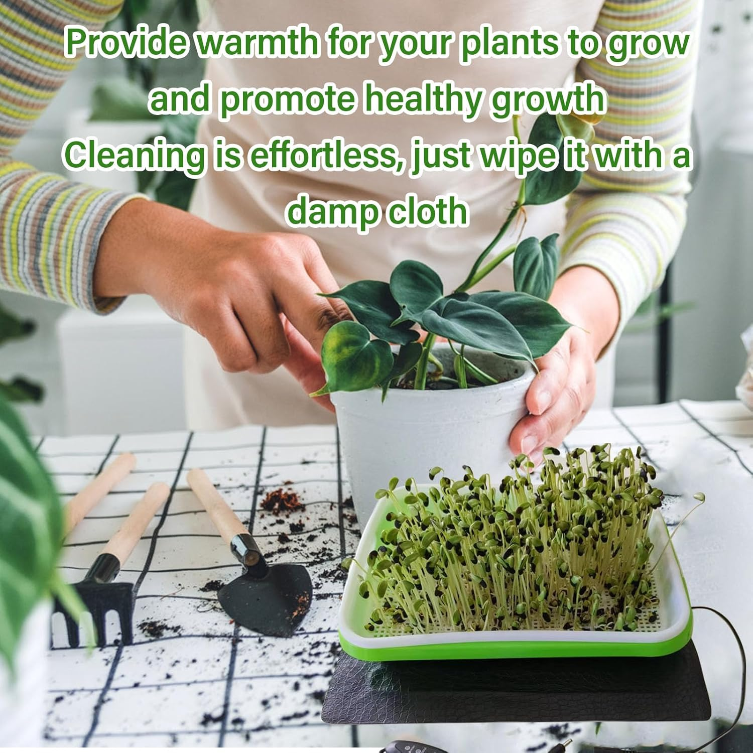 Seedling Heat Mat, Consistent Temperature Control, 3 Gear Temperature Adjustment Hydroponic Heating Pad for Indoor Gardening, Root Warming (1522) image number 2