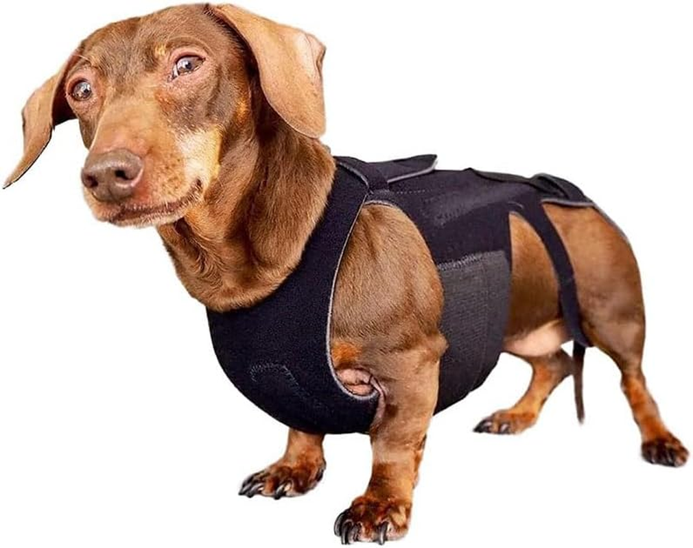 Dog Back Brace for Dog Back Pain, Arthritis, Good for Dachshunds, Corgies, Frenchies (S) image number 5