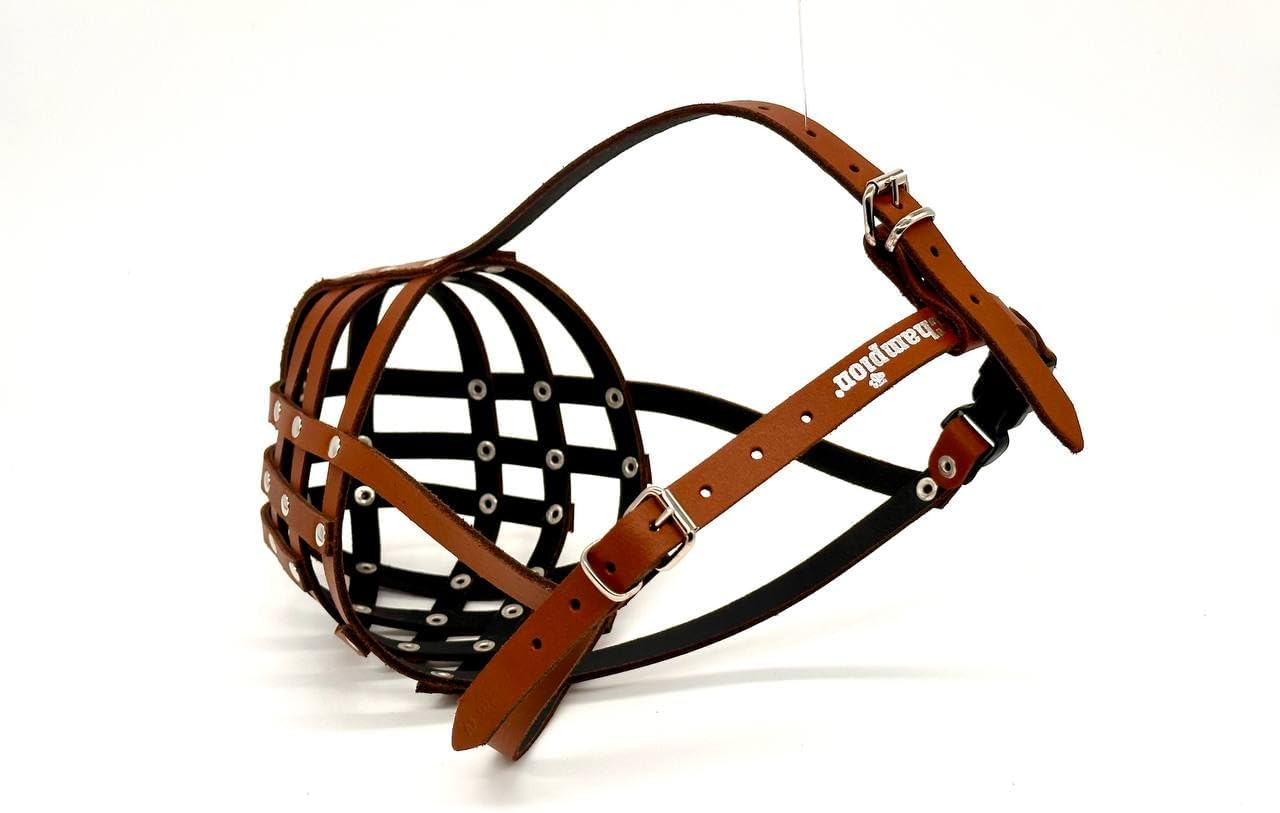 Genuine Leather Dog Muzzle for American Bully, Bully XL and Other Similar Snout (Brown Leather, AB4) image number 6