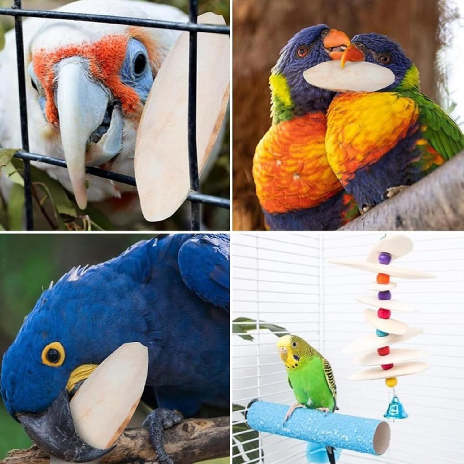 Cuttlebone for Birds, Natural Calcium for Parrots, Pet Birds Nutritional Supplementation Calcium for Cockatiels Sparrow Parakeet Conures Budgies image number 3