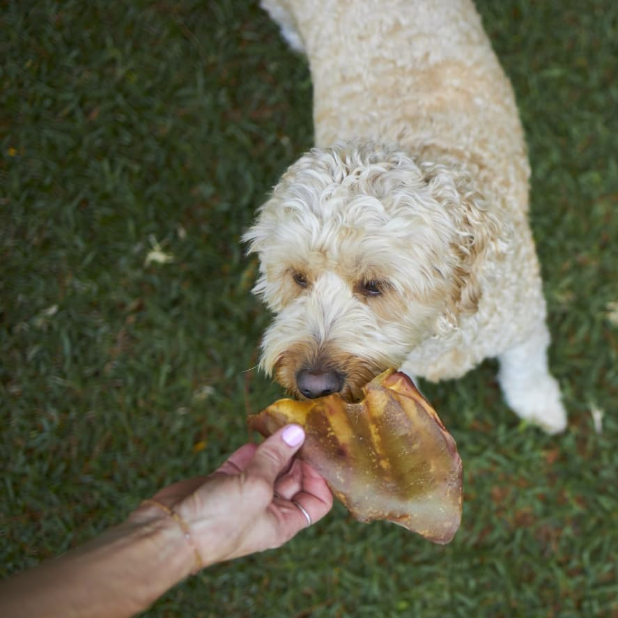 Kazoo Prime Cuts Aussie Beef Ears - 7Pk image number 1
