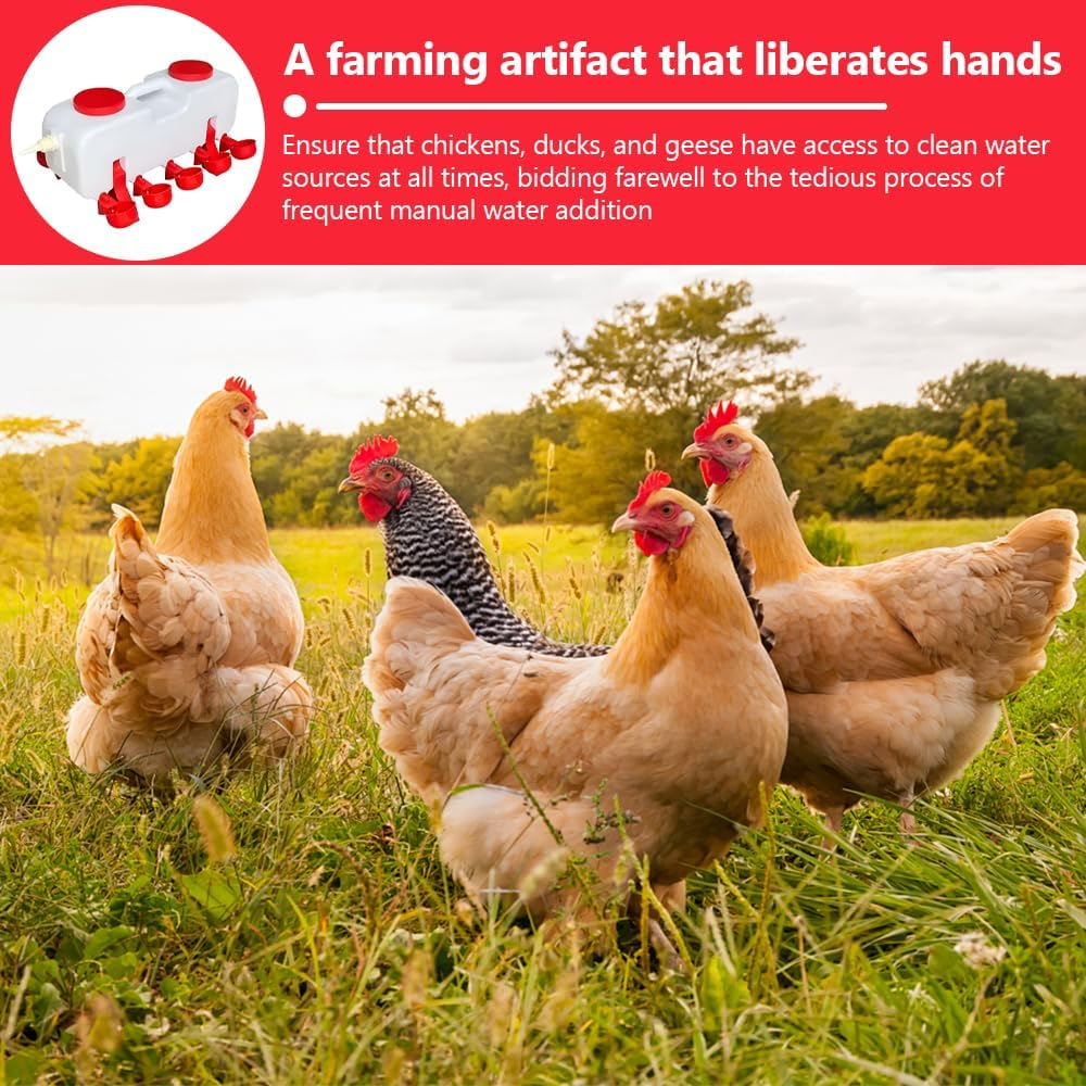 10L Automatic Chicken Drinker,Pet Waterer,Automatic Water Bowls,Standing Ducks Drinker,For Chicken,Duck,Goose,Easy Clean Plastic Feeding and Watering Feeder image number 2