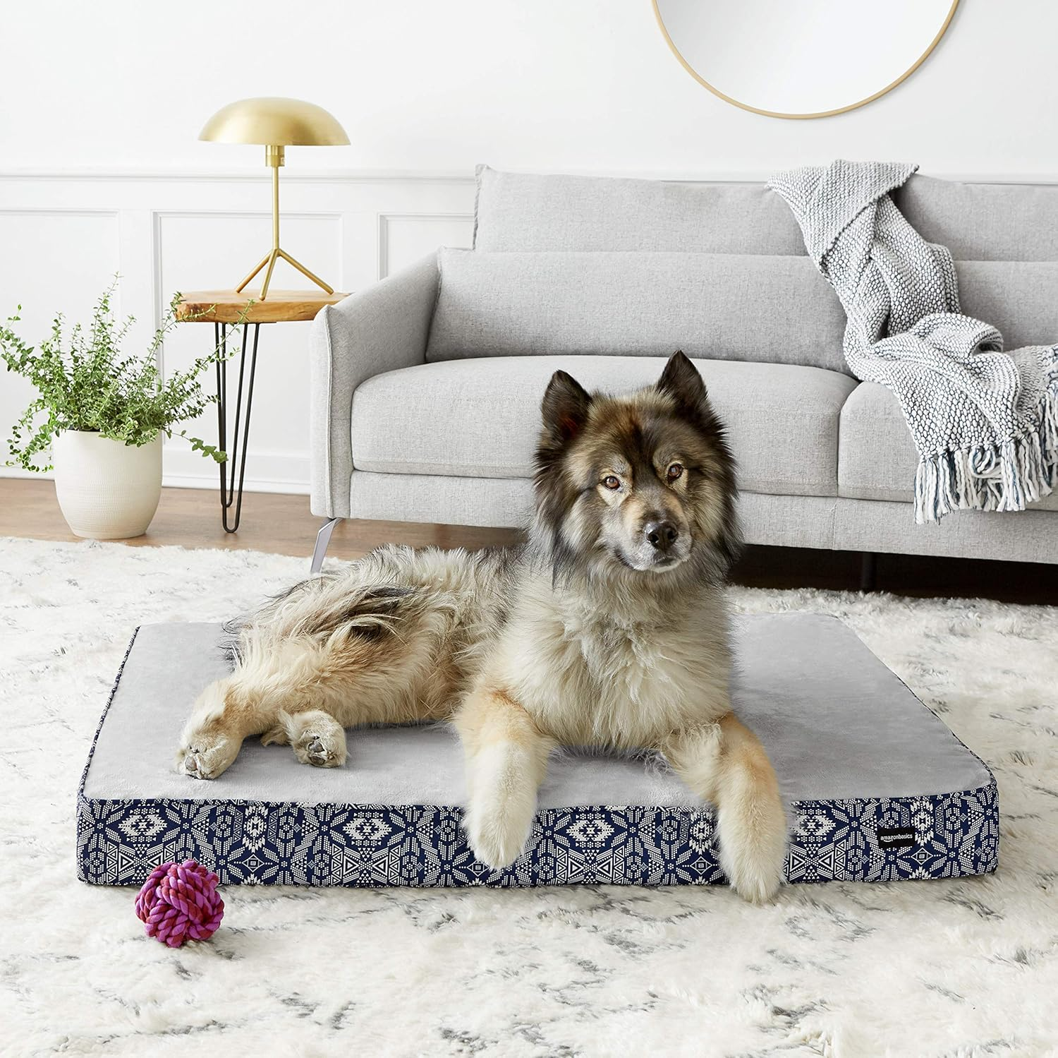 Amazon Basics Foam Pet Bed for Cats or Dogs - X-Large, Blue image number 2