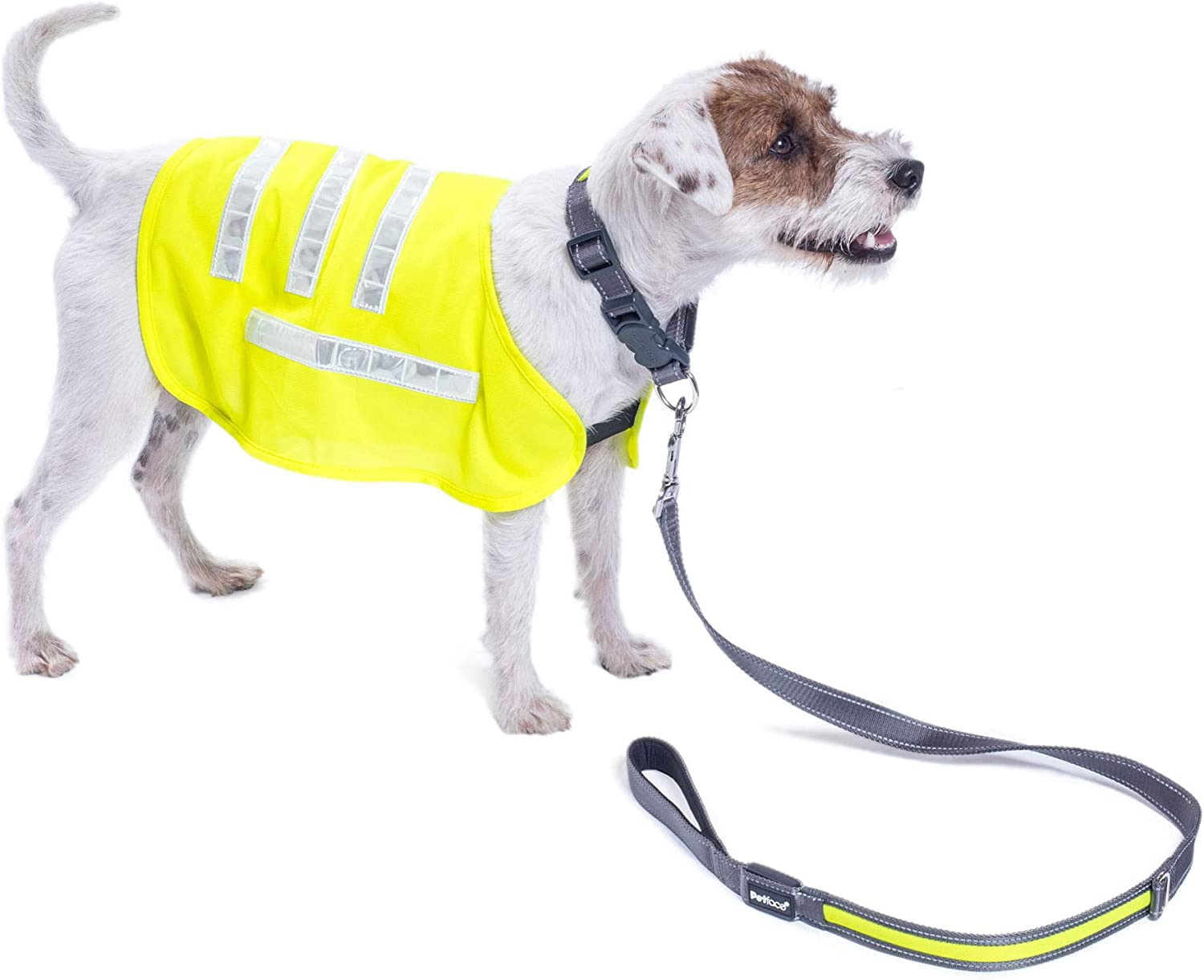 Petface Outdoor Paws Flashing Reflective Dog Lead image number 2