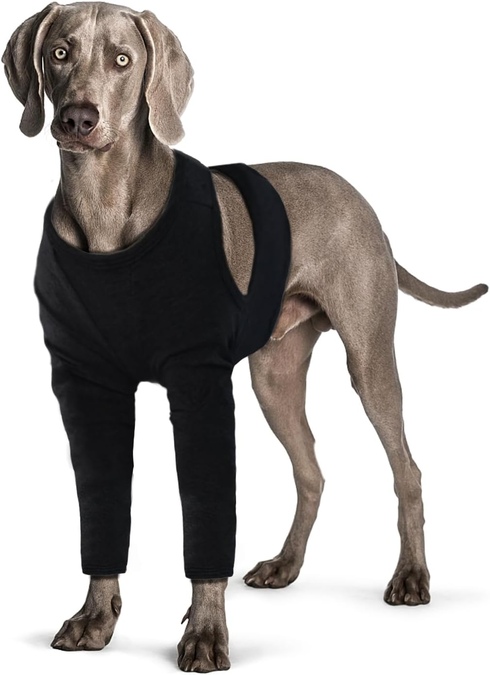 Yoolhamy Dog Leg Recovery Sleeve, Dog Front Leg Elbow Protector, Dog Recovery Suit after Surgical Wound Protector to Prevent Licking Bite Cone Collars Alternative (Black, 2XL) image number 2