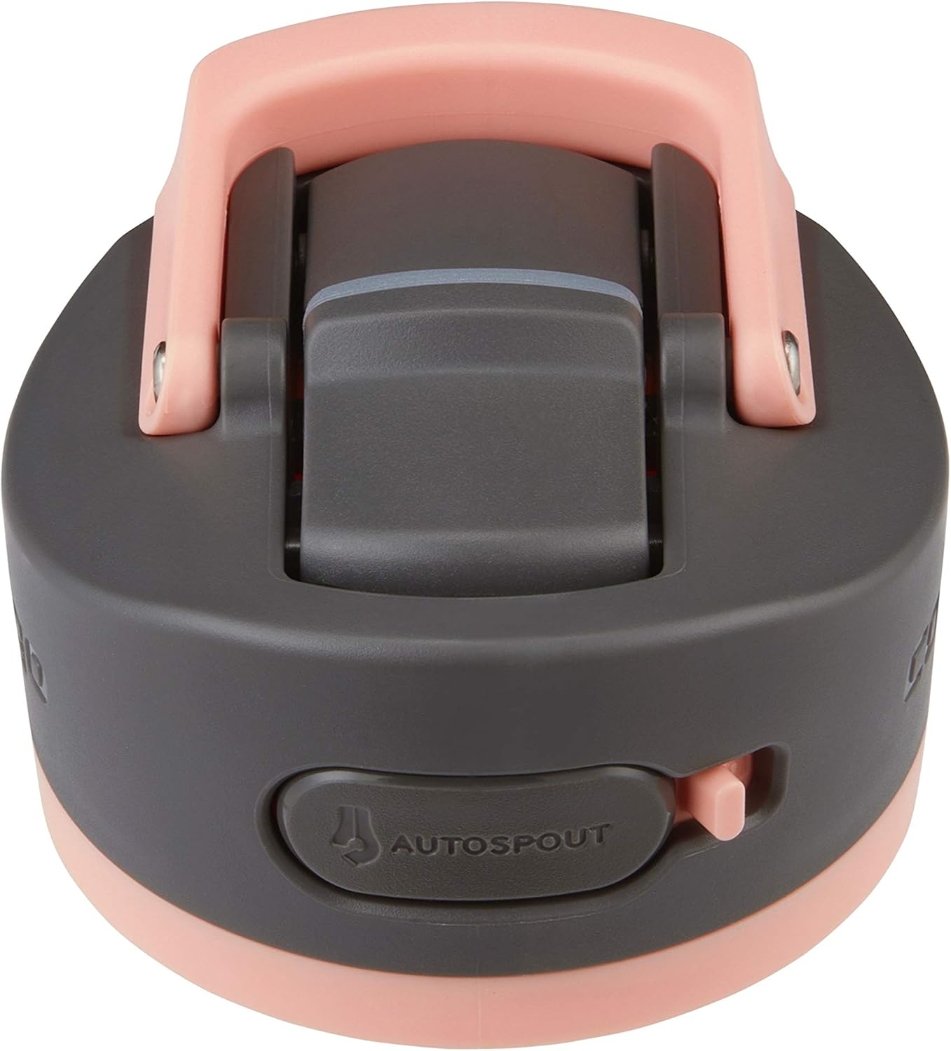 Contigo Ashland 2.0 Leak-Proof Water Bottle with Lid Lock and Angled Straw, Dishwasher Safe Water Bottle with Interchangeable Lid, 24Oz Pink Lemonade image number 2