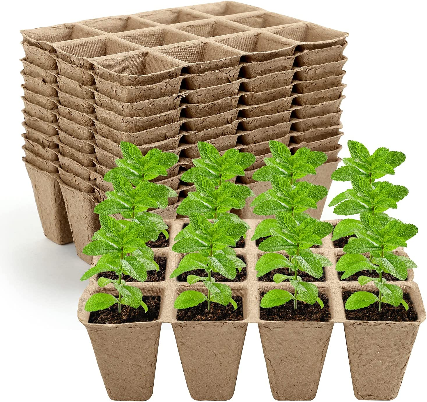 GWHOLE 144 Cell Seed Starter Tray Kit 12PCS X 12 Cell Seedling Trays Paper Peat Pots Organic Plant Peat Pots Germination Seedling Trays for Organic Vegetables, Greenhouse Plants, Seed Nursery image number 5