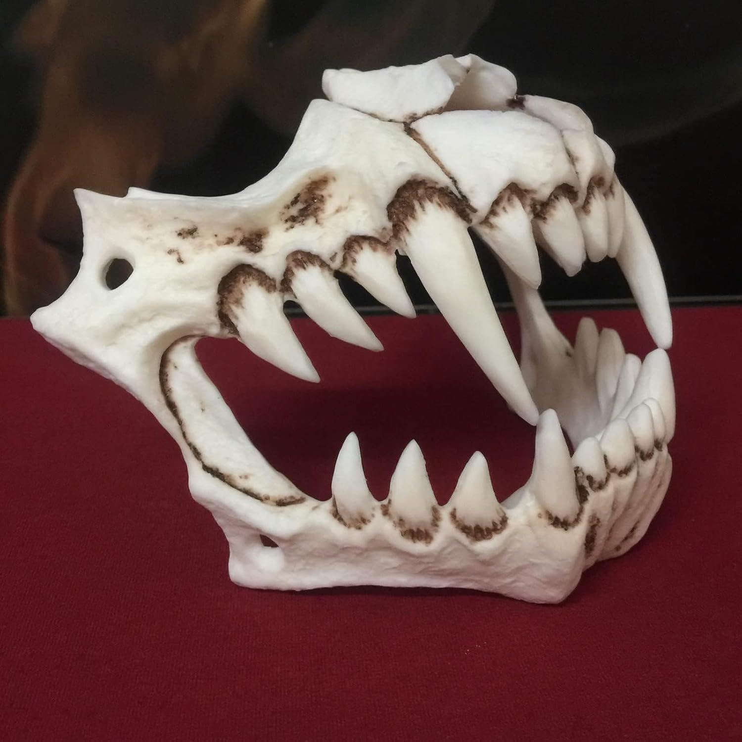 JDFHFGB Japanese Halloween Mask, Oni Animal Skull Half Mask for Halloween & Cosplay, Decorative Bone Costume Mask for Adults, Themed Parties & Collectors