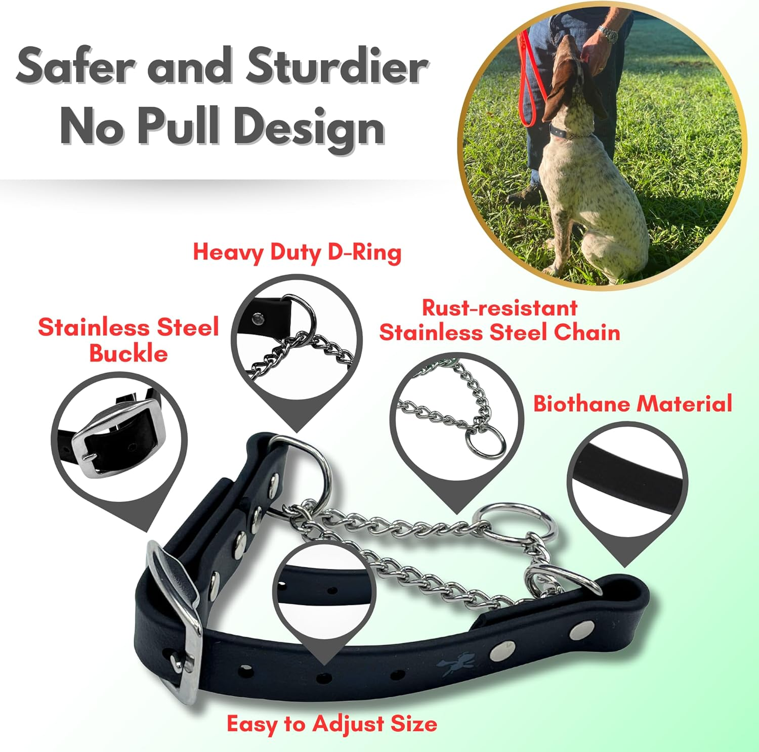 Jim Hodges Dog Training Martingale Collar for Dogs, Biothane, Stainless Steel Hardware, No Pull, Made in the USA, Professional Grade, Medium, Black image number 2