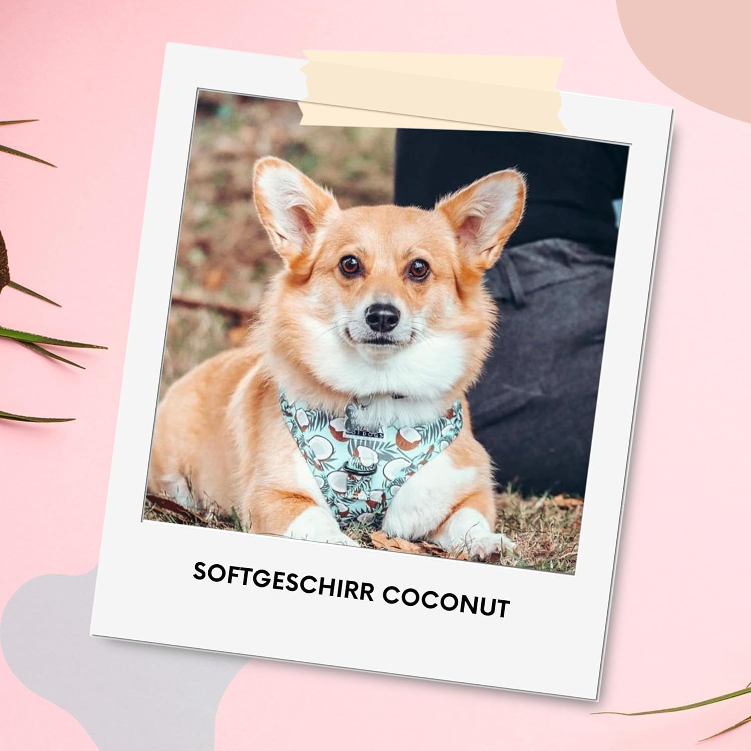 Dog Harness for Large Dogs Arizona Hotdogs Soft Harness Coconut Coconut Pattern Light Blue (L)