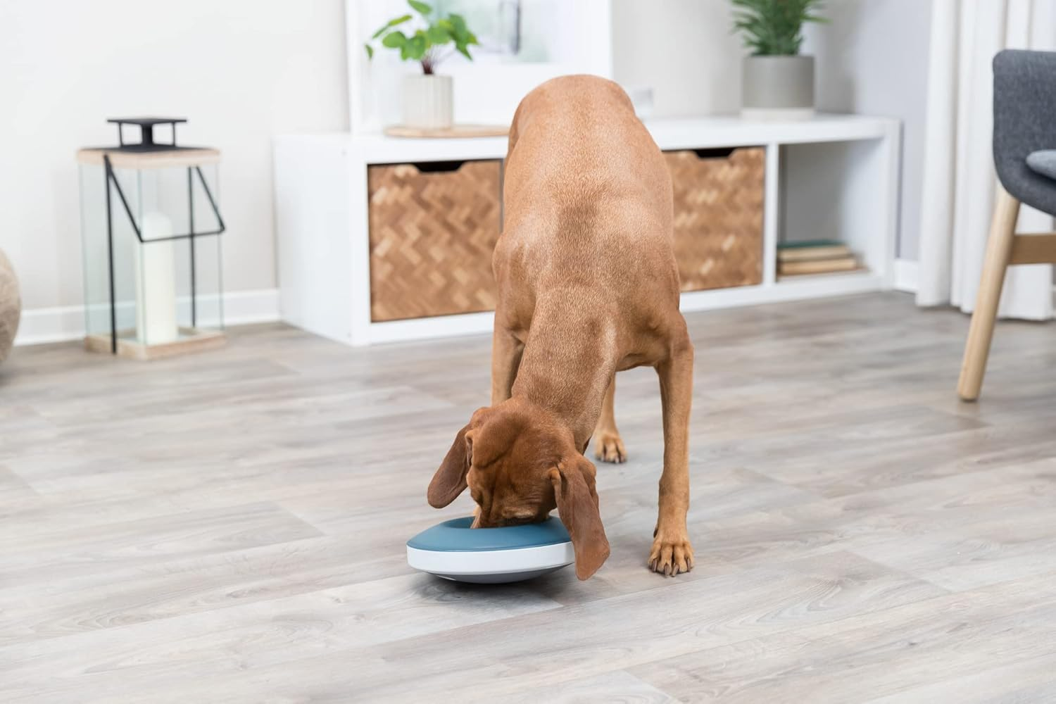 Trixie Slow Feed Rocking Bowl - Anti-Sling Bowl image number 5