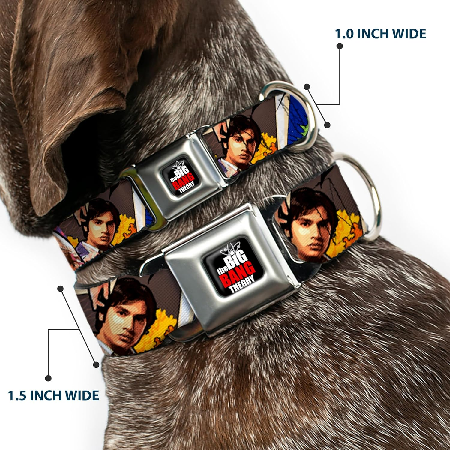 Buckle-Down Seatbelt Buckle Dog Collar - the Big Bang Theory Comic Strip - 1.5" Wide - Fits 13-18" Neck - Small image number 2